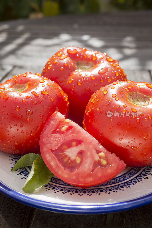 Tomatos outdoors